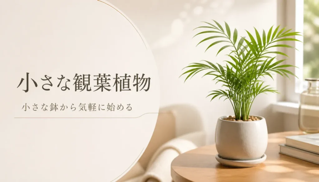 陶器の鉢に植えられた小さなテーブルヤシ